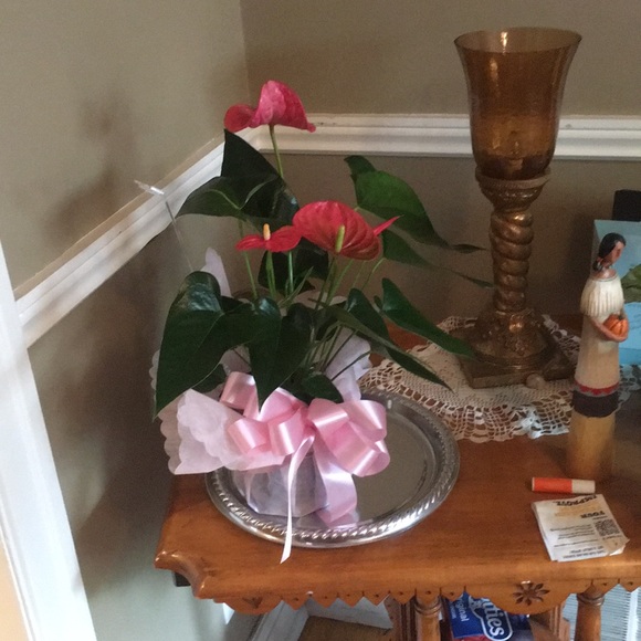 Meet your Posher, Gary - Picture 1 of 1